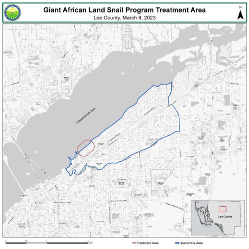 Giant African Land Snail quarantine established in Lee County News, Sports, Jobs North Fort
